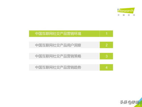 2019年中國互聯(lián)網(wǎng)社交企業(yè)營銷策略白皮書 驅(qū)動互聯(lián)網(wǎng)銷售的創(chuàng)新路徑