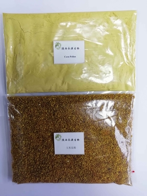 從田野到藥典 玉米花粉、破壁玉米花粉與高粱花粉的植物提取物研發新視角