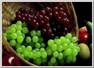 蔬菜保鮮技巧與植物提取物研發的前沿應用
