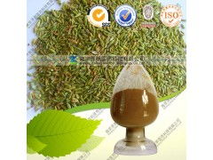 天然植物精華 優質小茴香提取物的研發與應用