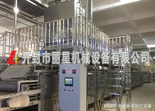 開加工廠選麗星自動化粉條機，智能控制系統保障優質紅薯粉條生產
